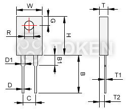TO-220 功率电阻器 (RMG100) 尺寸图 (单位: mm)